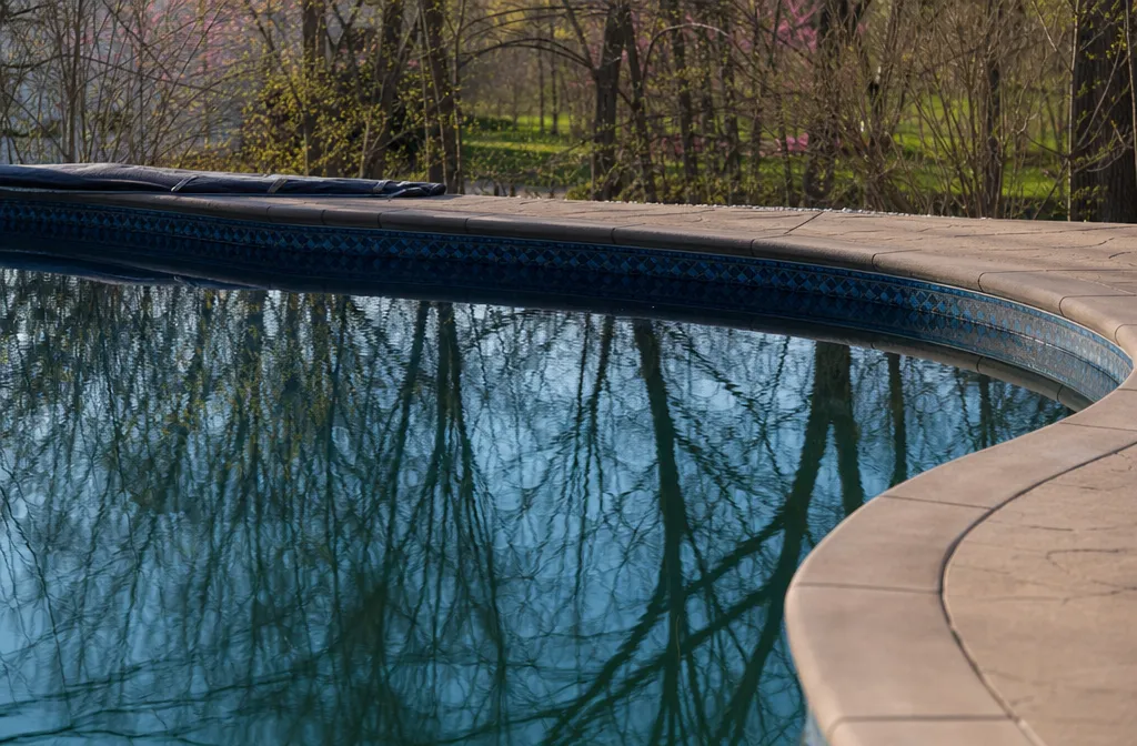 An in-ground pool in early spring with the cover just off, bare trees and buds behind, water dark and still