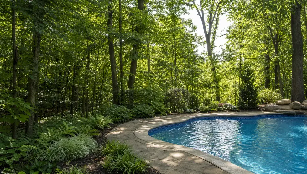 An in-ground pool in a wooded Northeast Ohio garden, Twinsburg